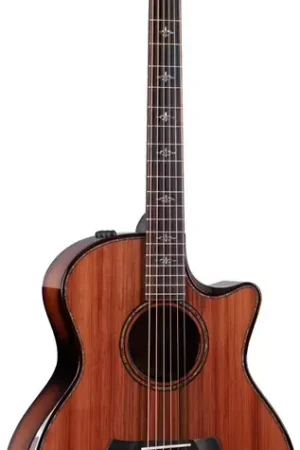 Offre exclusive | Taylor Guitars 914Ce Be Grand Auditorium Sinker Redwood