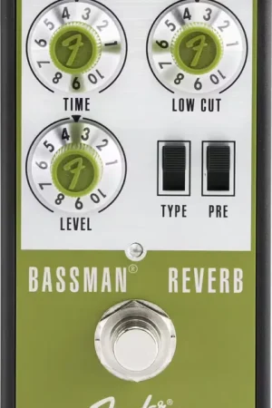 En stock | Fender Bassman Reverb