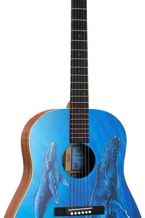 Martin Guitar DSS Biosphere II | Nouveau