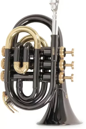 Roy Benson PT101K - Sib Noir - Produit phare