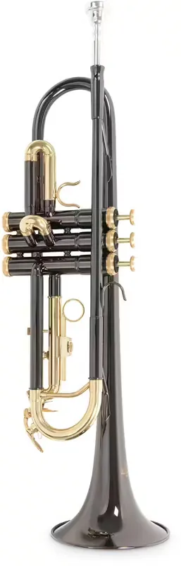 Roy Benson TR101K - Sib Noir - Soldes