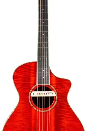 Breedlove Concertina Ce TB Vintage Ed. - Promo exceptionnelle