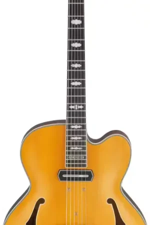 Dernières unités | Ibanez PM3C Signature Pat Metheny Natural Amber Low Gloss
