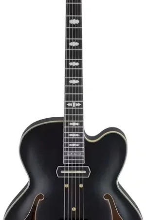 Qualité professionnelle | Ibanez PM3C Signature Pat Metheny Black Low Gloss