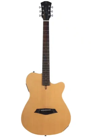 Réduction - Sire Larry Carlton G5A Nt.S Naturel Satin