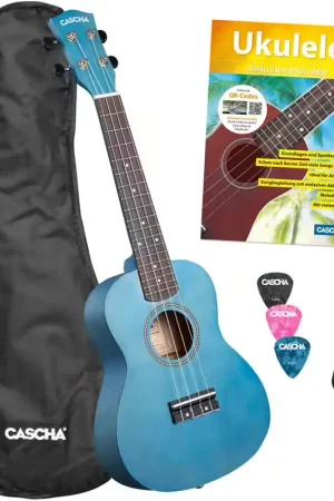 Qualité professionnelle | Cascha CUC103s Concert Linden Blue Set