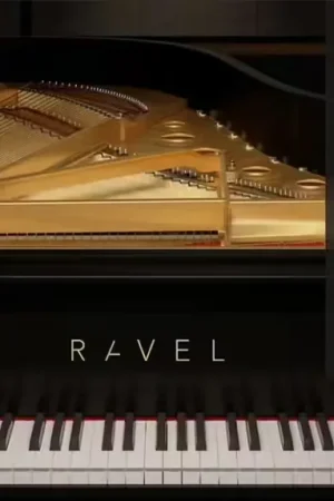 Universal Audio UAD Ravel - Très apprécié des clients