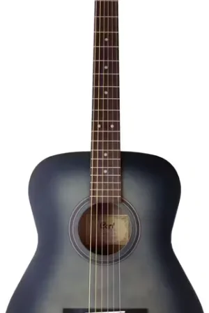 Commandez maintenant | Cort AF550 Noir Pores Ouverts