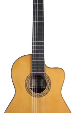 Esteve 9ce C/B Cedre EQ Fishman - Tout juste ajouté