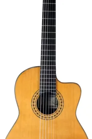 Très bien noté - Esteve 8ce Cedre EQ Fishman