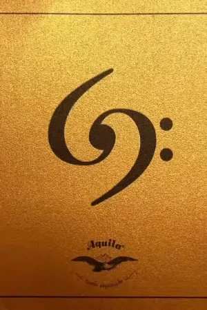 Aquila 200U Flat Spirals - Disponible
