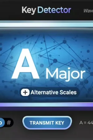 Retour facile | Waves Key Detector