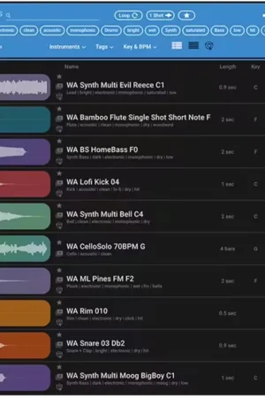 Waves Cosmos Sample Finder - Envoi rapide