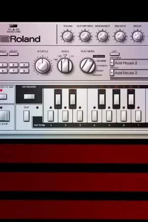 Offre spéciale - Roland TB-303
