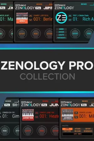 Coup de cœur - Roland Zenology Pro