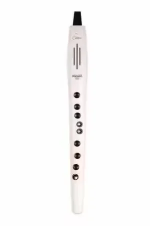 Carry On Digital Wind Instrument Plus Blanc - Prix en baisse