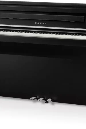 Préféré des clients - Kawai CA901 Noir