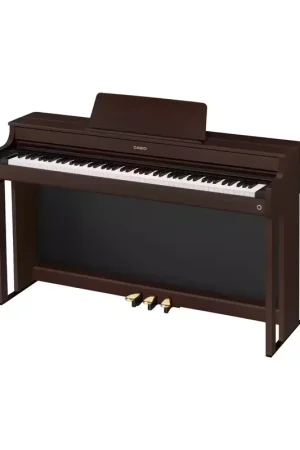 Prix avantageux - Casio AP-300 Brun