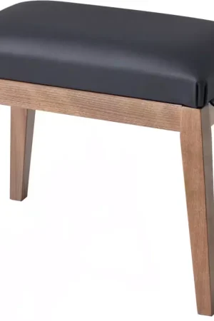 Casio BG50-VINYL BANQUETTE NOIRE | Prix exceptionnel
