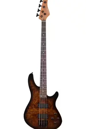 Schecter C-4 Standard Tobacco Burl - Qualité professionnelle