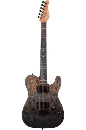 Très apprécié des clients | Schecter Pt Standard Black Fade Burst Burl