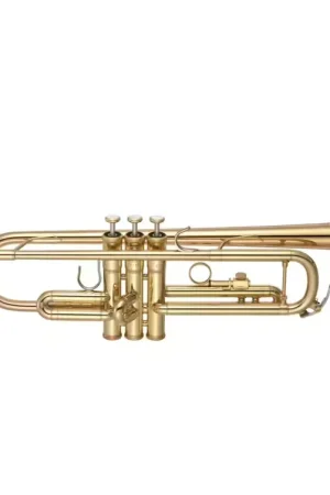 Super prix | Yamaha YTR8335RC Sib Vernie