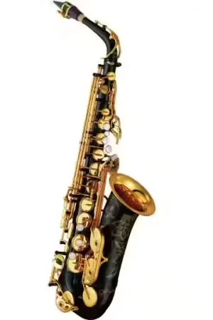 Tout juste disponible - Yamaha YAS82ZB Custom - Alto Mib Verni Noir