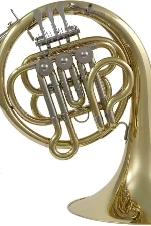 Prix cassé - Woodbrass WHR100B - Si B Verni (petites Mains) - Occasion