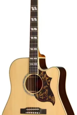 Achetez maintenant - Epiphone Hummingbird Deluxe EC Natural IBGCS