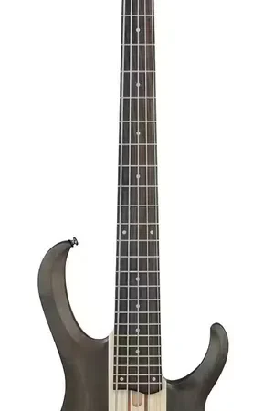Ibanez BTB605-TGF Transparent Gray Flat | Haute qualité