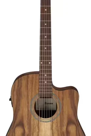 Ibanez V40WSCE-OPB Open Pore Brown | Produit phare