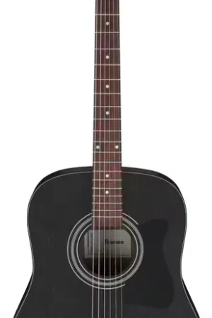 Nouveauté - Ibanez V54NJP-WK Weathered Black Open Pore