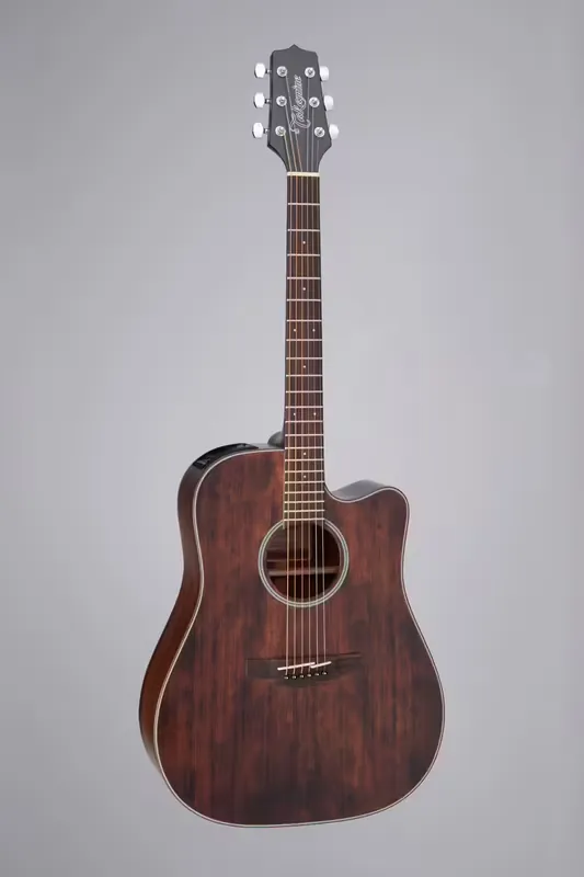 Bonne affaire | Takamine GD21CE Dreadnought Satin Molasses