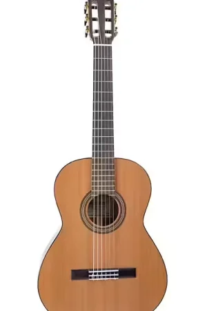 Martinez Guitars Torres 1/2 RN Acajou | Disponible maintenant