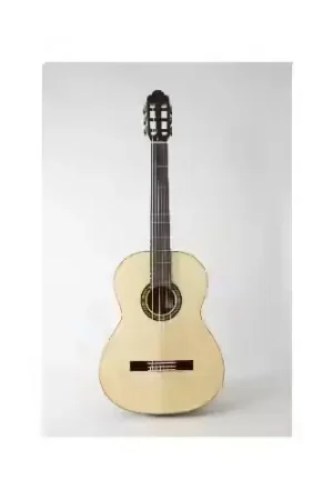 Martinez Guitars Torres 4/4 RN Palissandre | Offre
