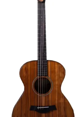 Taylor Guitars Jacob Collier Signature Model JCSM 5-string Natural Grand Concert | Excellente qualité