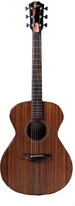 Taylor Guitars Jacob Collier Signature Model JCSM-6 - Retour gratuit