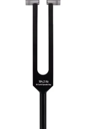Nouveau en boutique | Schlagwerk PTF-DY - Diapason Power Fork Earth Day (194,2Hz)