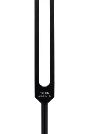 Schlagwerk PTF-OM - Diapason Power Fork Earth-Om (136,1Hz) - Disponible