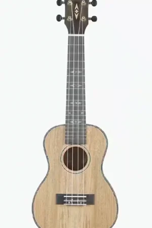 Offre à durée limitée - Alabama Concert Alabama Mango