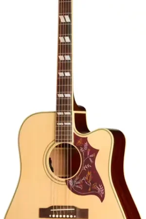 Epiphone Hummingbird Standard EC Natural IBG - Offre