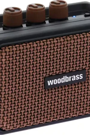 Prix spécial - Woodbrass GE5 5W Noir Marron