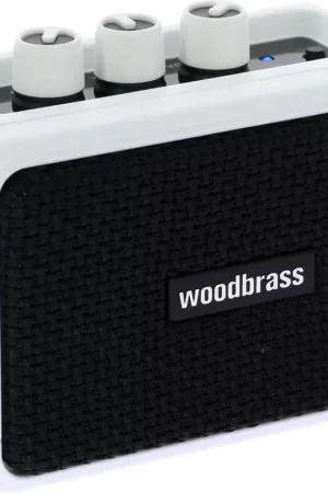 Se termine bientôt - Woodbrass GE5 5W Blanc