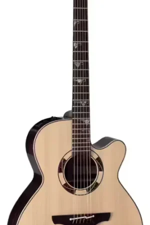 Disponible maintenant | Takamine Dsf48C Nex Santa Fe CW Japon Natural Gloss