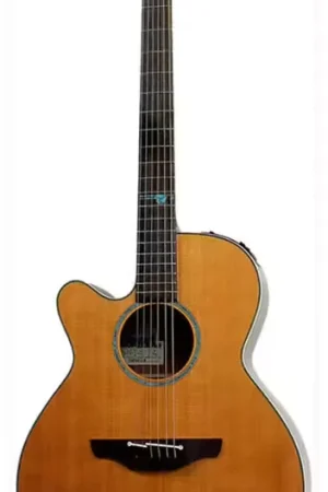 Takamine FSF40C Nex Santa Fe CW Japon Natural Gloss Gaucher - Affaire à saisir
