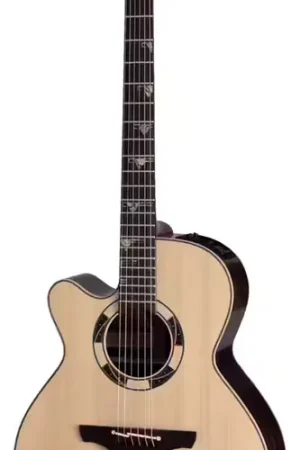 Takamine DSF48C Nex Santa Fe CW Japon Natural Gloss - Prix réduit