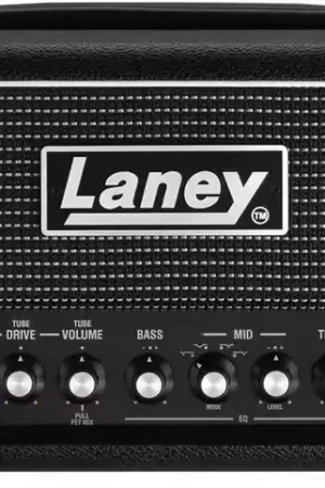 Prix cassé | Laney Digbeth DB-EAST Nathan East Sign. 2x500W