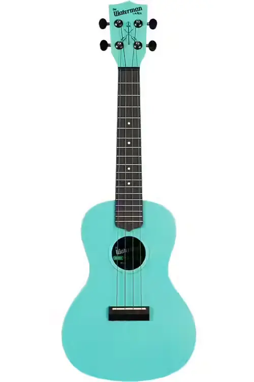 Incontournable - Kala Recycled Waterman Concert Aqua Mist