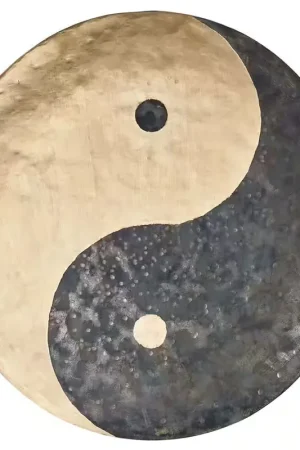 Paiement sécurisé | Sonic Energy WGYY12 - 12" Wind Gong Yin & Yang