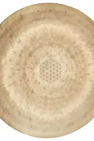 Qualité supérieure | Sonic Energy WGFOL14 - Wind Gong 14" fleur de vie